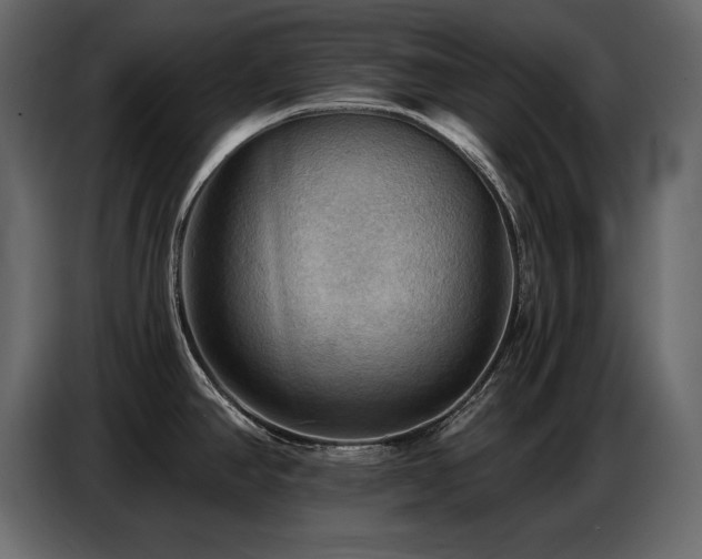X0000087741390200705071044