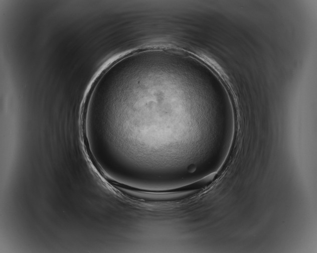 X0000087741392200705071044