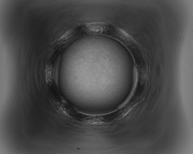 X0000087741394200705071043