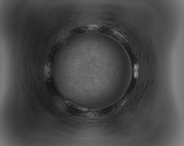 X0000087741395200705071043