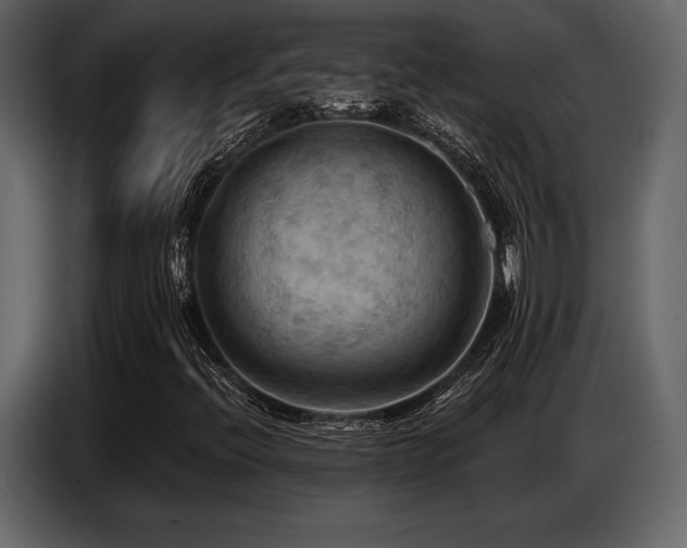 X0000087741396200705071043