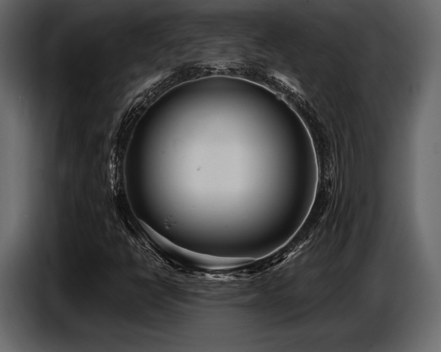 X0000087741398200705071043