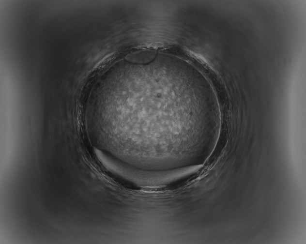 X0000087741399200705071043