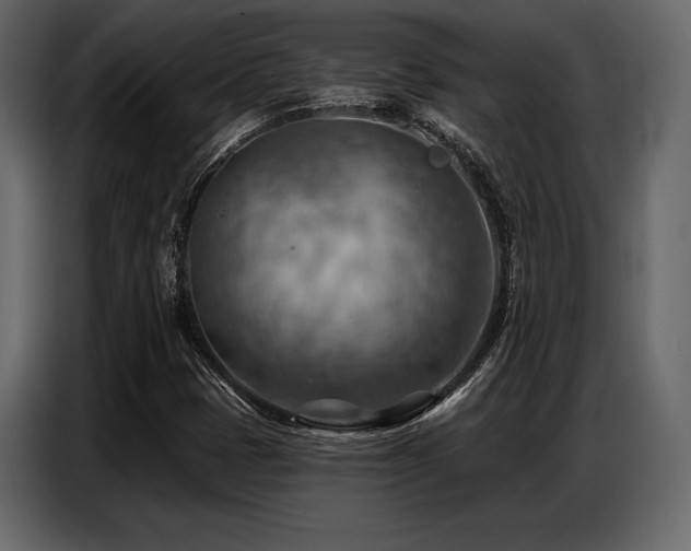 X0000087741401200705071043
