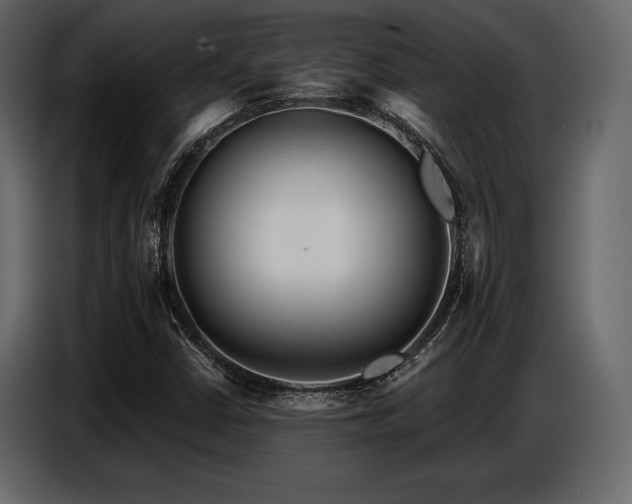 X0000087741402200705071043