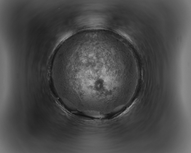 X0000087741405200705071043