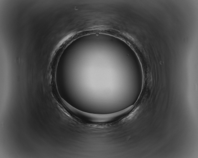 X0000087741406200705071043
