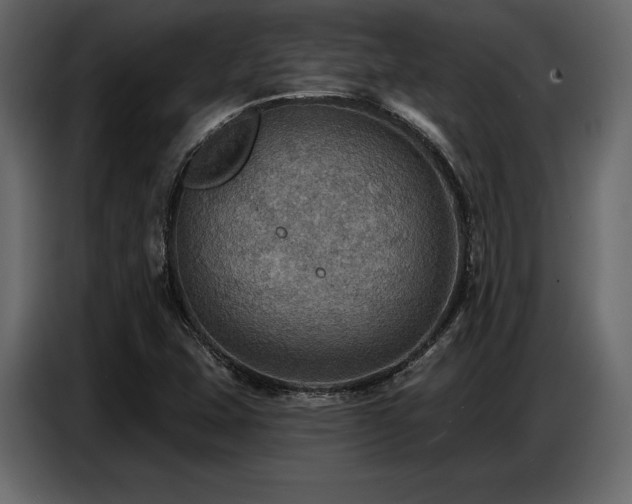 X0000087741407200705071043