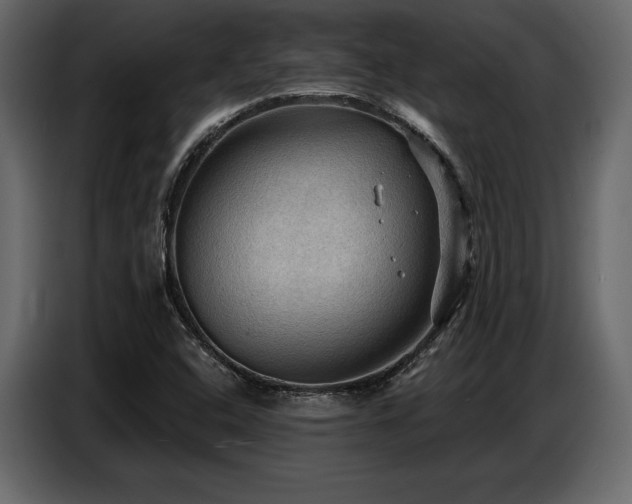 X0000087741408200705071043