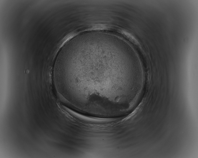 X0000087741409200705071043