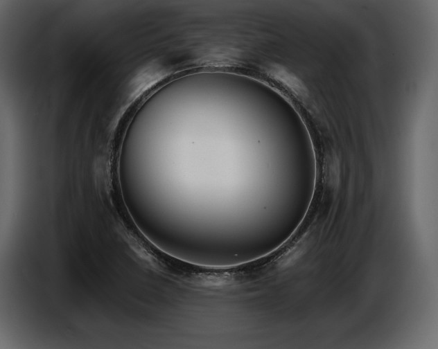 X0000087741410200705071043