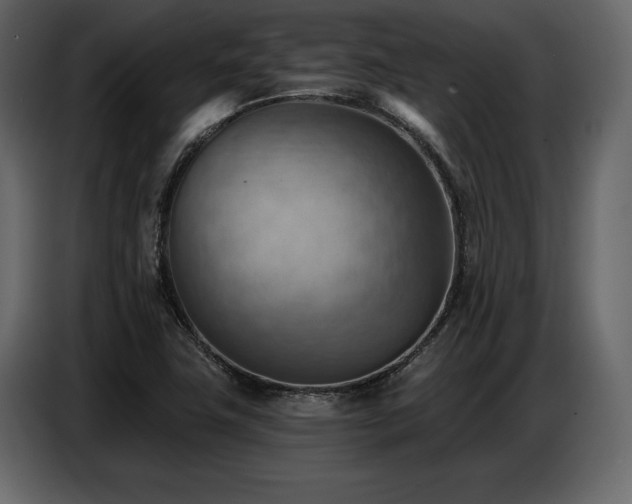 X0000087741411200705071043