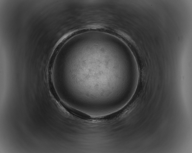 X0000087741412200705071043