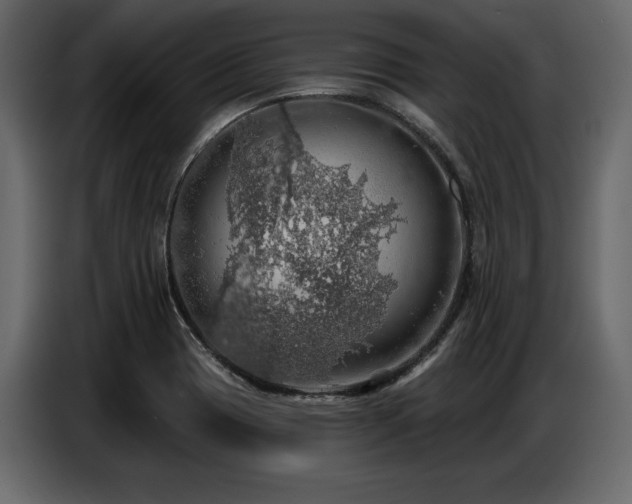 X0000087741417200705071043