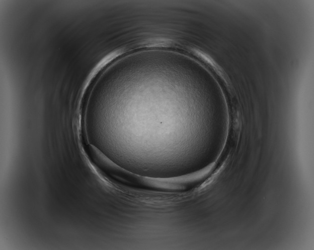 X0000087741418200705071043