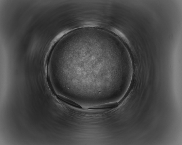 X0000087741419200705071043