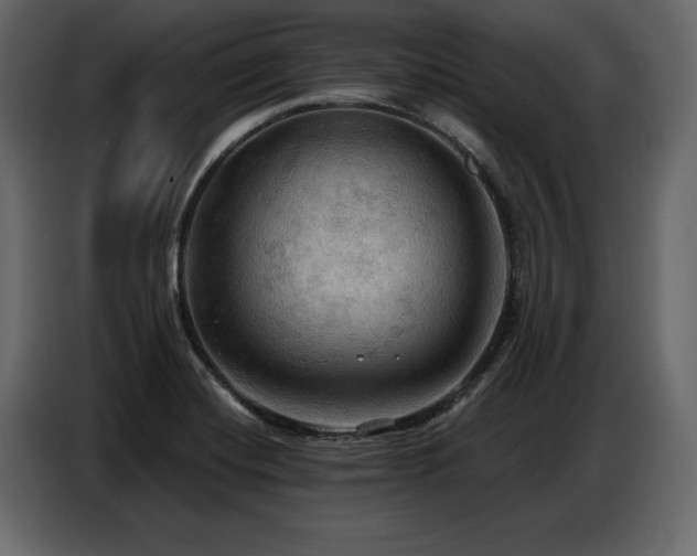 X0000087741420200705071043