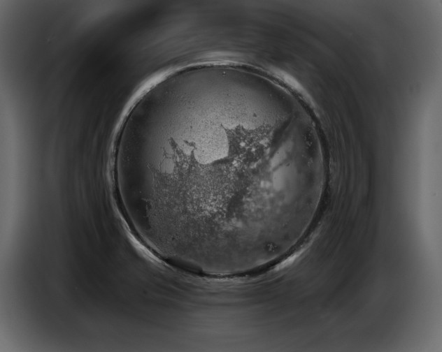 X0000087741421200705071043