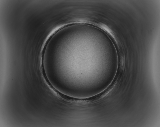 X0000087741424200705071043