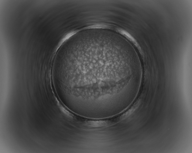 X0000087741425200705071043