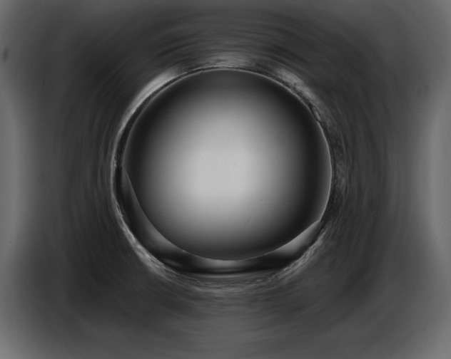 X0000087741426200705071043