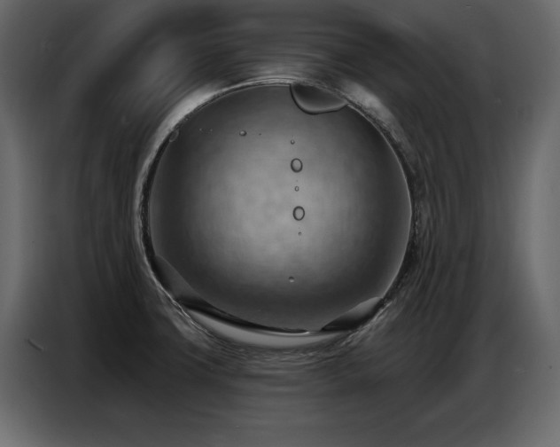 X0000087741427200705071043