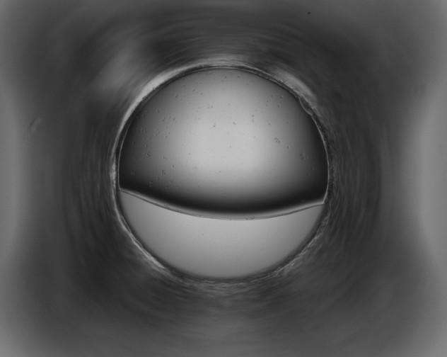 X0000087741428200705071043