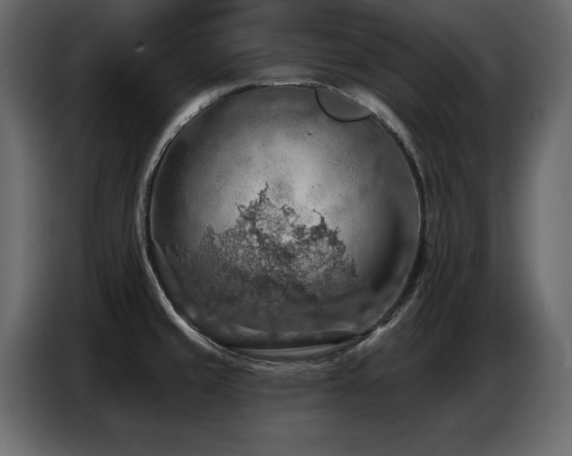 X0000087741429200705071043