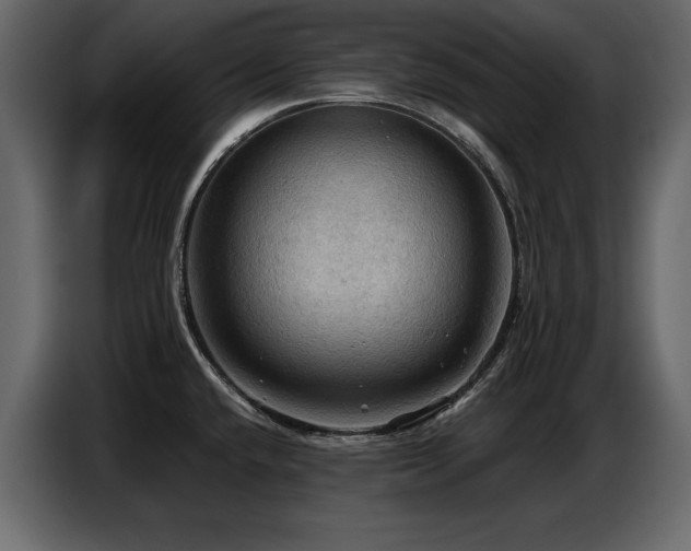 X0000087741432200705071043