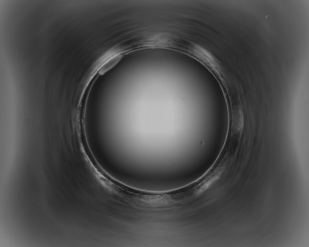 X0000087741434200705071043