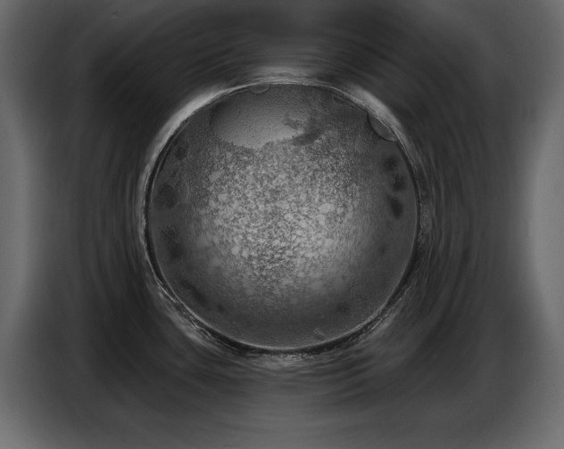 X0000087741435200705071043