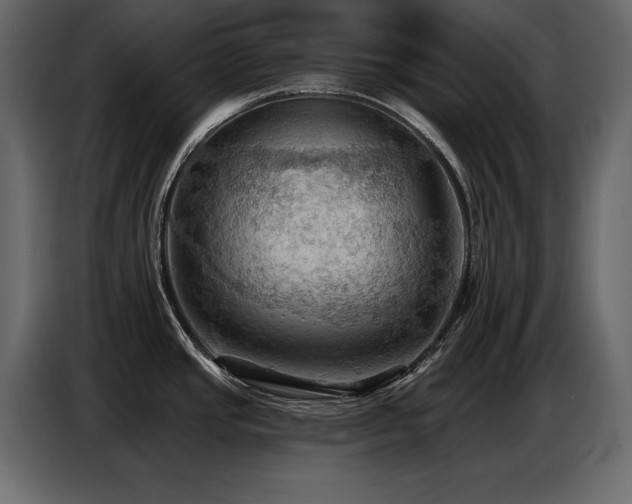 X0000087741437200705071044