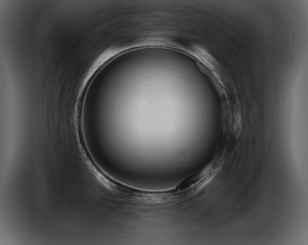 X0000087741438200705071044