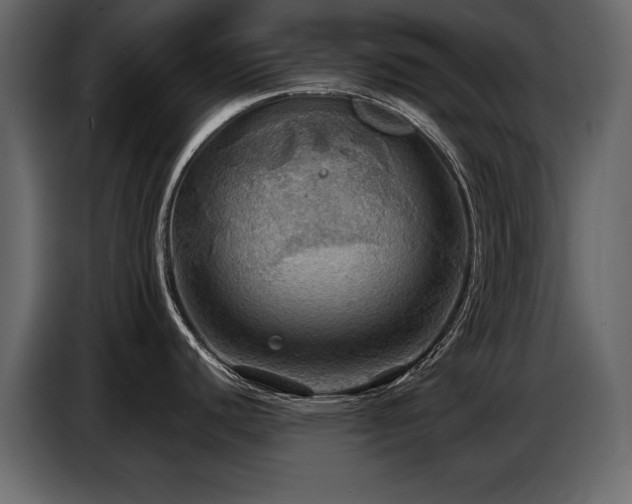 X0000087741440200705071044