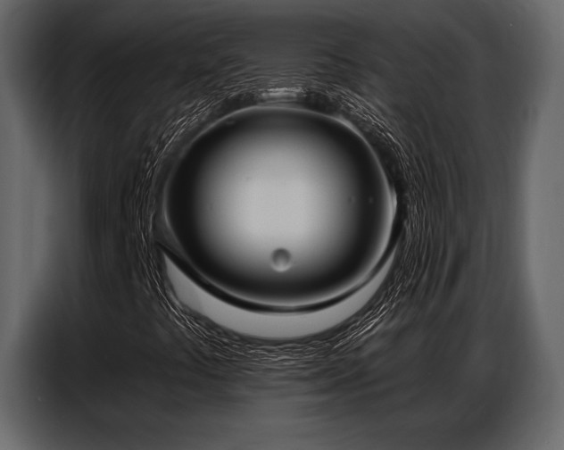 X0000087741441200705071043