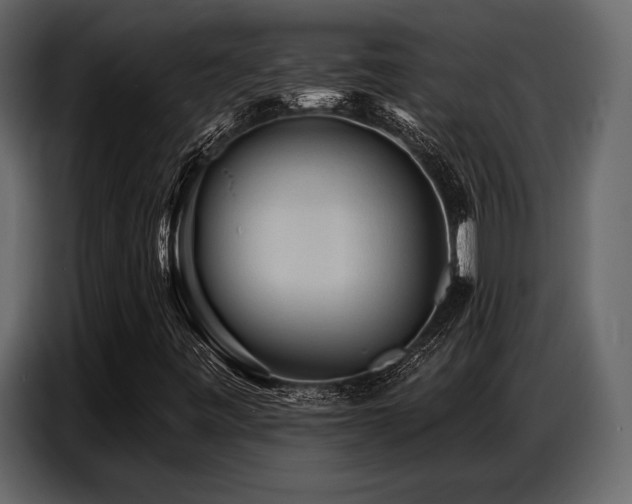 X0000087741443200705071043