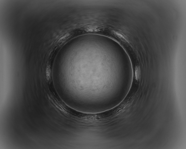 X0000087741444200705071043