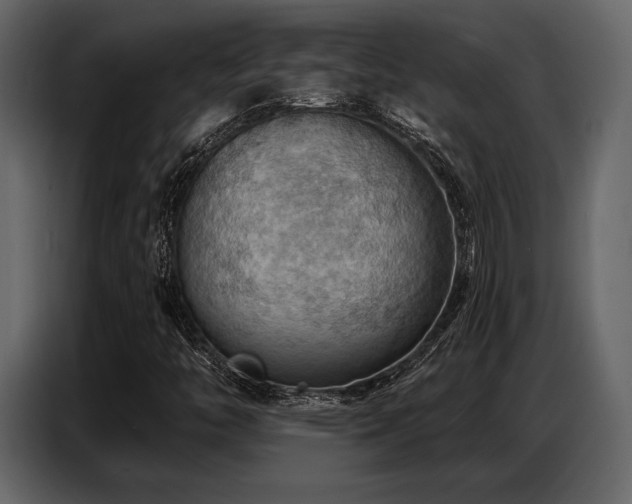 X0000087741446200705071043