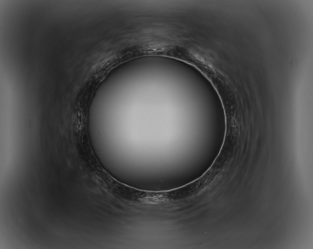X0000087741447200705071043