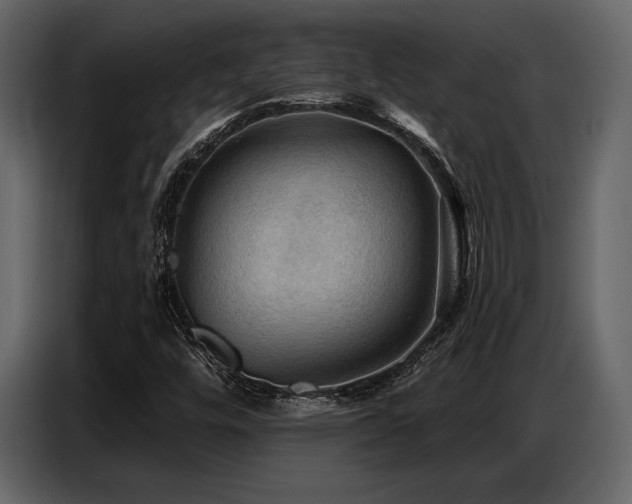 X0000087741448200705071043