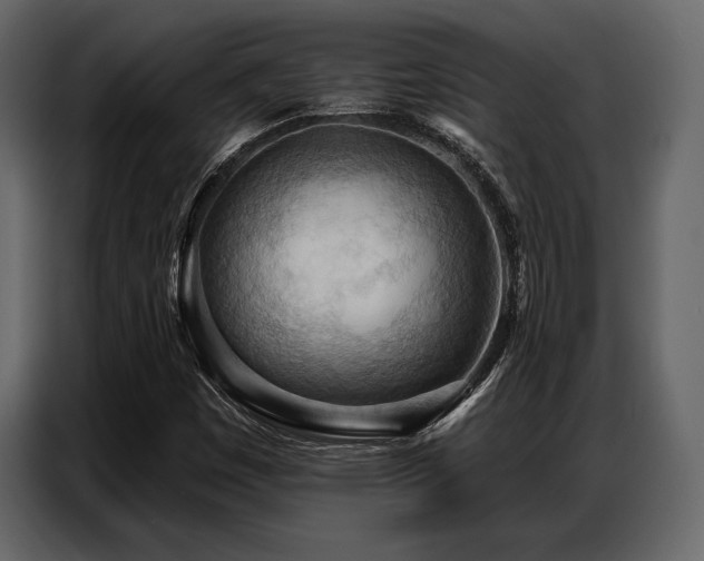 X0000087741449200705071043