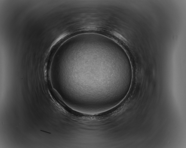 X0000087741450200705071043