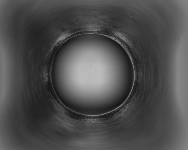 X0000087741451200705071043