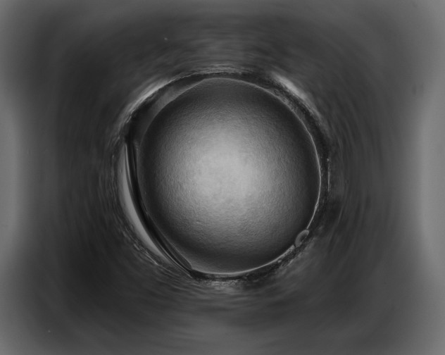 X0000087741453200705071043