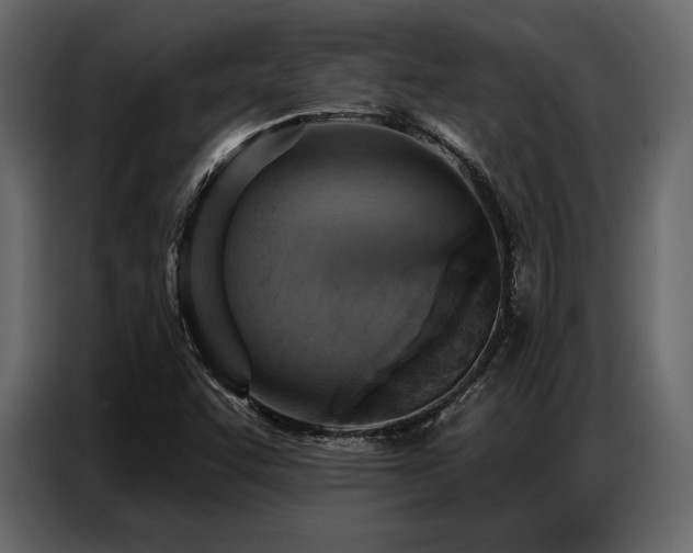 X0000087741455200705071043