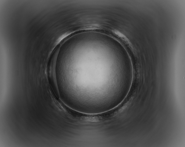 X0000087741457200705071043