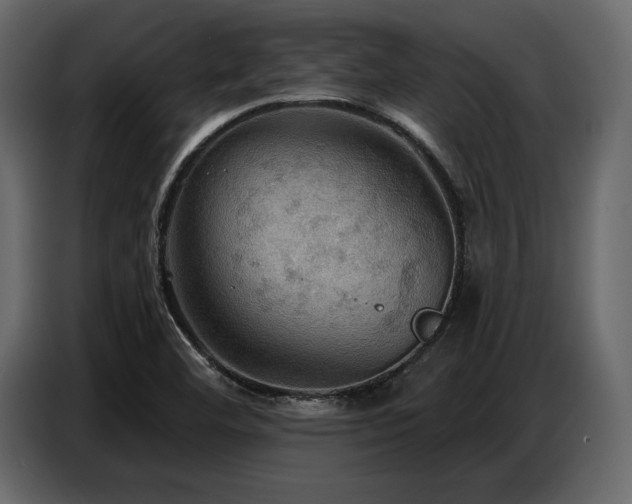 X0000087741460200705071043