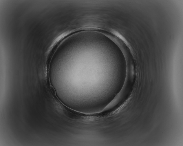 X0000087741461200705071043