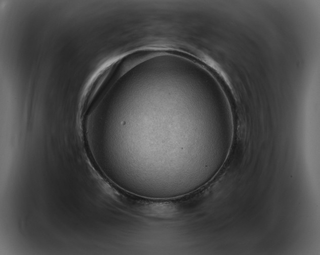 X0000087741464200705071043