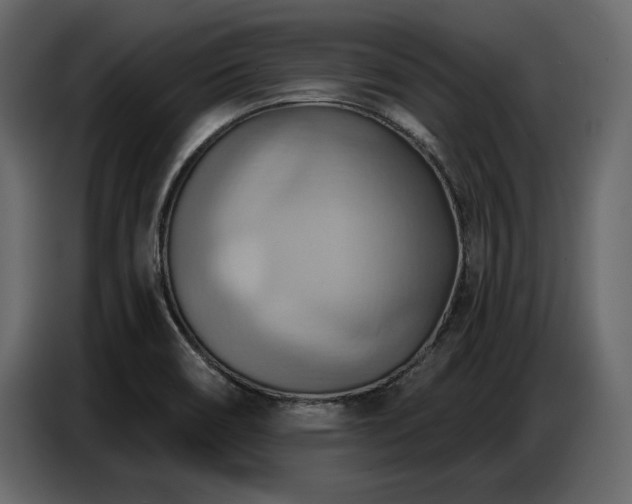 X0000087741466200705071043